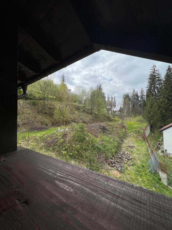 Pensiunea Zimbrul Poiana Brasov Extérieur photo
